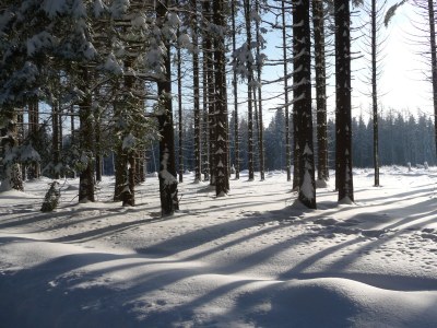 Holiday house "Haus Waldesruh" - Environment photo 19