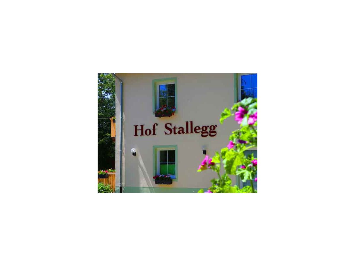 Holiday house Holiday Cottage "Lotus", Estate Stallegg - Outdoor photo 4