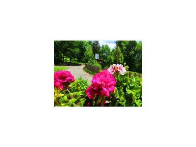 Holiday house Holiday Cottage "Lotus", Estate Stallegg - Environment photo 26