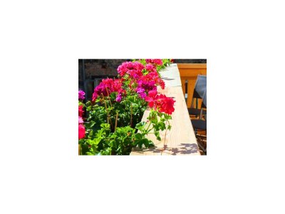 Holiday house Holiday Cottage "Lotus", Estate Stallegg - Environment photo 27