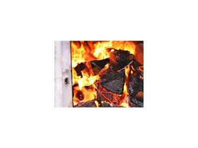 Holiday house Holiday Cottage "Lotus", Estate Stallegg - Outdoor photo 60