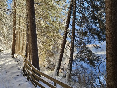 Holiday house See das Ferienhaus - Environment photo 20