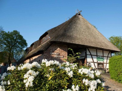 Holiday apartment Studio für 2-4 Personen in Bastorf - Holiday apartment