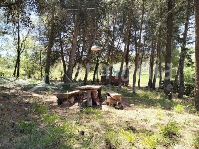 Cottage AA3 - Outdoor photo 8