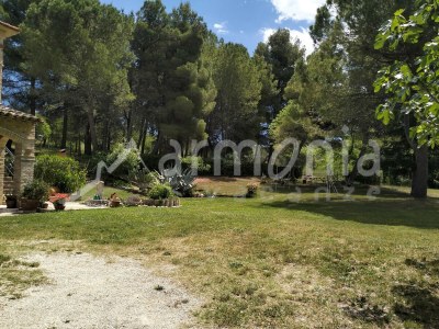 Cottage AA3 - Environment photo 33