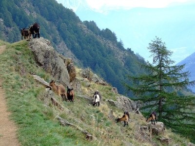 Apartment Apartment B - Environment photo 12