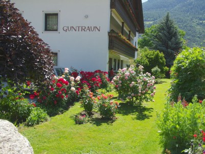 Apartment Apartment B - Environment photo 14