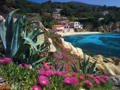 Apartment Oyster Beach - Environment photo 17