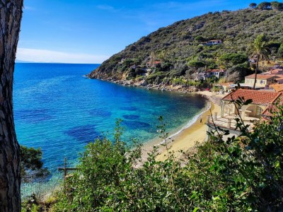 Apartment Oyster Beach - Environment photo 19