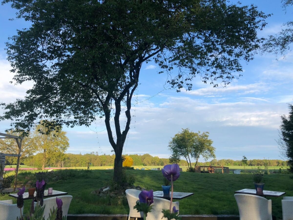 Holiday house Country House in Drenthe near Forest Trails - Outdoor photo 4