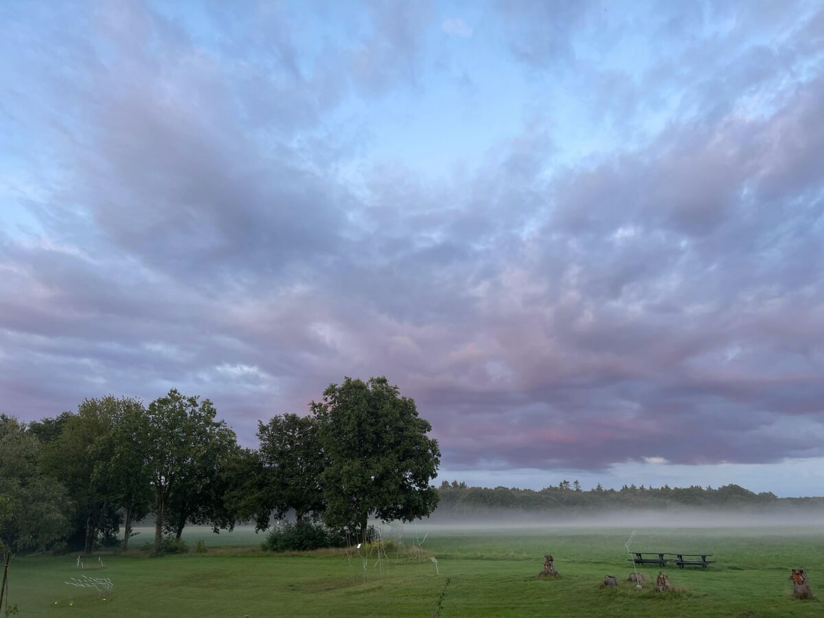 Holiday house Country House in Drenthe near Forest Trails - Outdoor photo 5