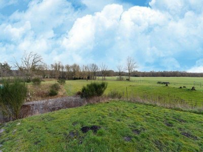 Holiday house Country House in Drenthe near Forest Trails - Outdoor photo 3