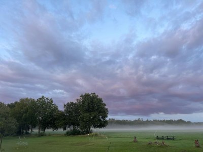 Holiday house Country House in Drenthe near Forest Trails - Outdoor photo 5