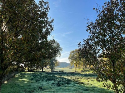 Holiday house Country House in Drenthe near Forest Trails - Outdoor photo 7
