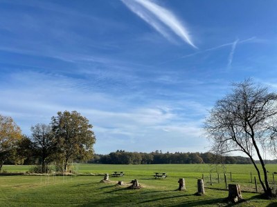 Holiday house Country House in Drenthe near Forest Trails - Outdoor photo 9