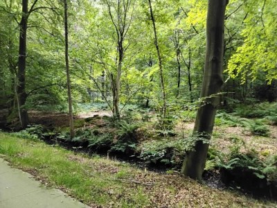 Holiday house Chalet in Friesland am See, 4 PAX Von Belvilla - Environment photo 67