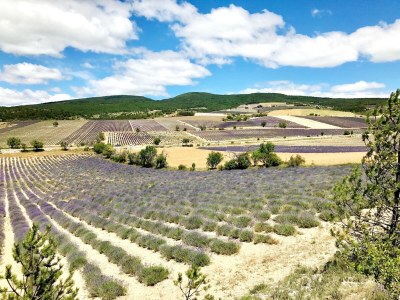 Apartment Eleganter Aufenthalt im Château Spa - Environment photo 27