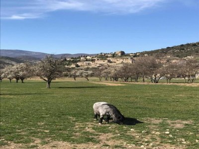 Apartment Eleganter Aufenthalt im Château Spa - Environment photo 30