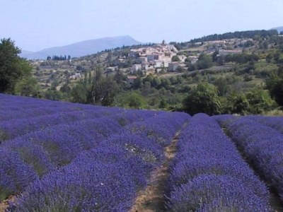 Apartment Château Comfort in Provence - Environment photo 31