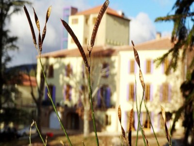 Apartment Château Comfort in Provence - Outdoor photo 40