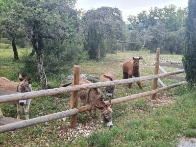 Cottage Roulottes de Saint Cerice - Features photo 14