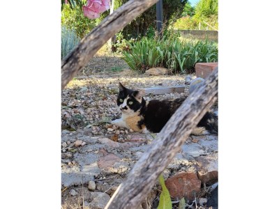 Finca Keller 3 - Outdoor photo 9