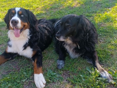 Finca Keller 3 - Outdoor photo 10