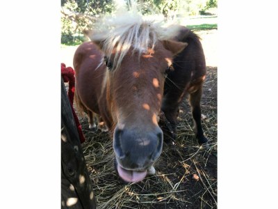 Finca Keller 3 - Outdoor photo 12