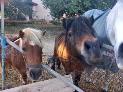 Finca Keller 3 - Outdoor photo 13