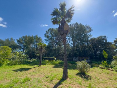 Finca Keller 3 - Environment photo 31