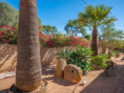 Villa VILLA MAR Y TIERRA - Features photo 57