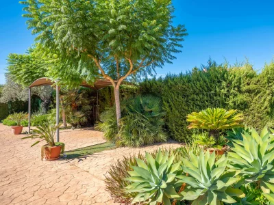 Villa VILLA MAR Y TIERRA - Features photo 58