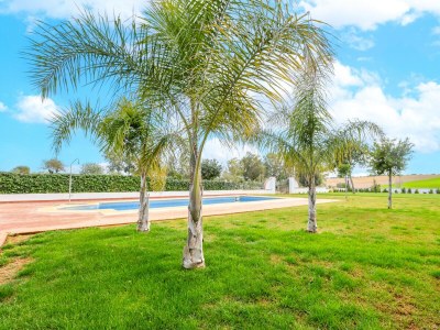 Holiday house Montecristo 4 - Outdoor photo 36