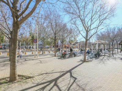 Apartment ALAMEDA DE HERCULES - Outdoor photo 13