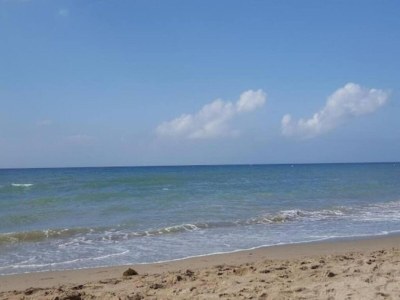 Apartment Apartment Marbella 100m from Beach - Environment photo 24