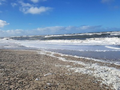 Holiday house Charmante Ruckzug in Ringkobing -- By Traum Ferienwohnungen - Outdoor photo 19