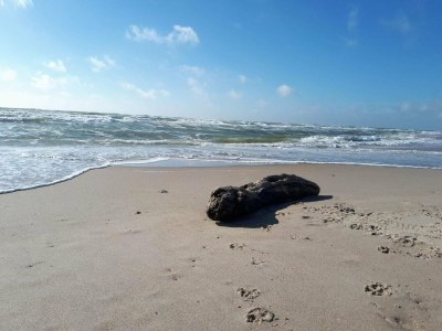 Holiday house Charmante Ruckzug in Ringkobing -- By Traum Ferienwohnungen - Outdoor photo 30
