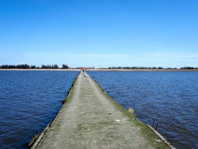 Holiday house Charmante Ruckzug in Ringkobing -- By Traum Ferienwohnungen - Outdoor photo 35
