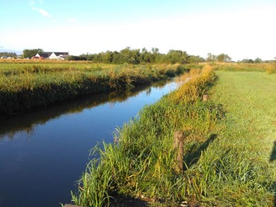 Holiday house Charmante Ruckzug in Ringkobing -- By Traum Ferienwohnungen - Outdoor photo 36