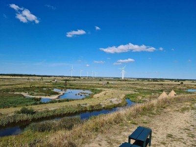 Holiday house Charming Retreat in Ringkobing - Outdoor photo 6