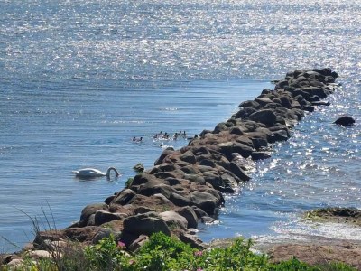 Holiday house Charming Retreat in Ringkobing - Outdoor photo 7