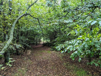 Holiday house Charming Retreat in Ringkobing - Outdoor photo 24