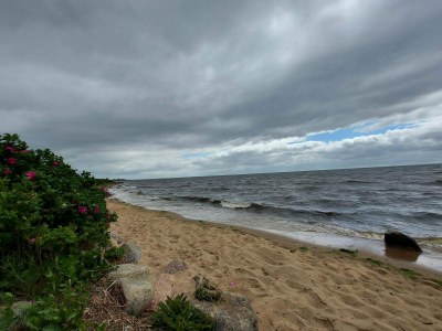 Holiday house Charming Retreat in Ringkobing - Outdoor photo 28