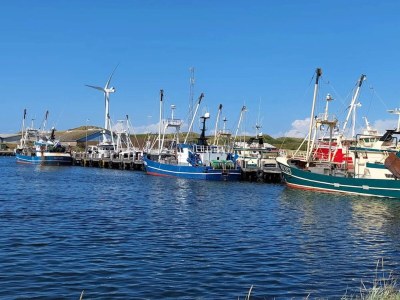 Holiday house Charmante Ruckzug in Ringkobing -- By Traum Ferienwohnungen - Outdoor photo 21