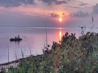 Holiday house Holiday home in Denmark - Outdoor photo 16