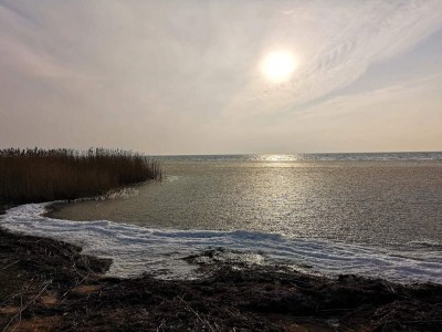 Holiday house Holiday home in Denmark - Outdoor photo 32