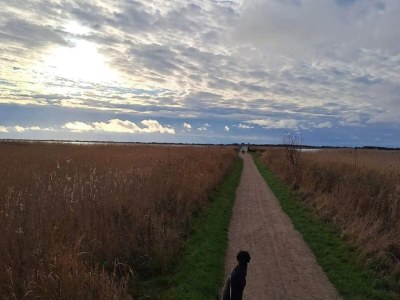 Holiday house Holiday home in Denmark - Outdoor photo 34