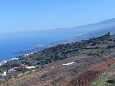 Holiday house Ferienhaus in Garachico mit Bergblick - Environment photo 31