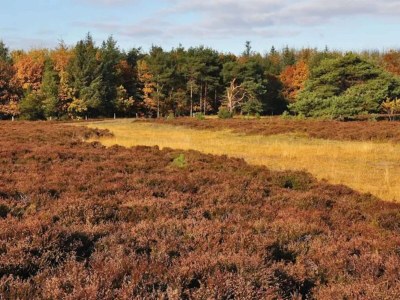 Holiday house 4 star holiday home in Bogense-By Traum - Outdoor photo 29