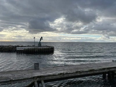 Holiday house 4 star holiday home in Bogense-By Traum - Outdoor photo 34